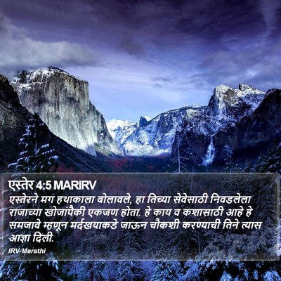 एस्तेर 4:5 MARIRV Bible Verse Image