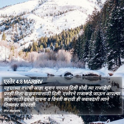 एस्तेर 4:8 MARIRV Bible Verse Image