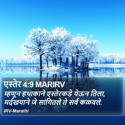 एस्तेर 4:9 MARIRV Bible Verse Image