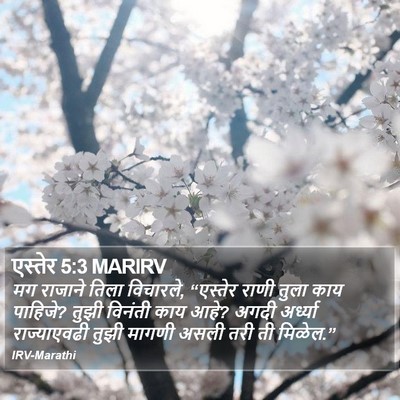 एस्तेर 5:3 MARIRV Bible Verse Image
