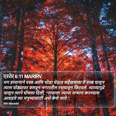 एस्तेर 6:11 MARIRV Bible Verse Image