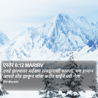 एस्तेर 6:12 MARIRV Bible Verse Image