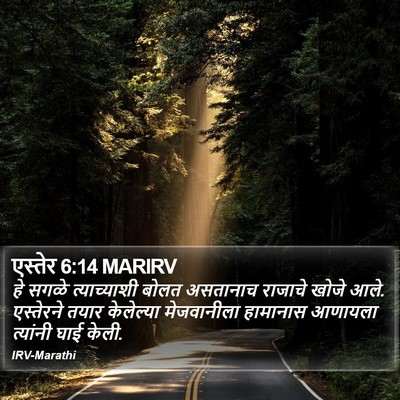 एस्तेर 6:14 MARIRV Bible Verse Image