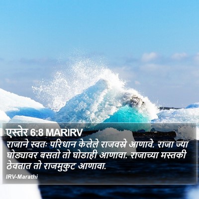 एस्तेर 6:8 MARIRV Bible Verse Image
