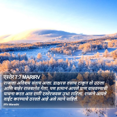 एस्तेर 7:7 MARIRV Bible Verse Image