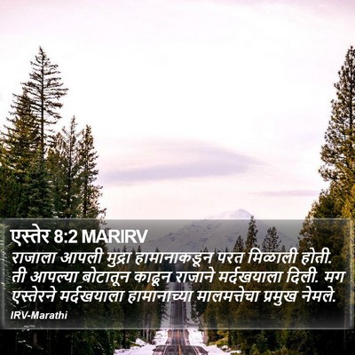 एस्तेर 8:2 MARIRV Bible Verse Image