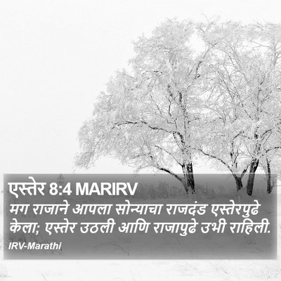 एस्तेर 8:4 MARIRV Bible Verse Image