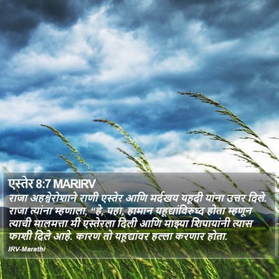 एस्तेर 8:7 MARIRV Bible Verse Image