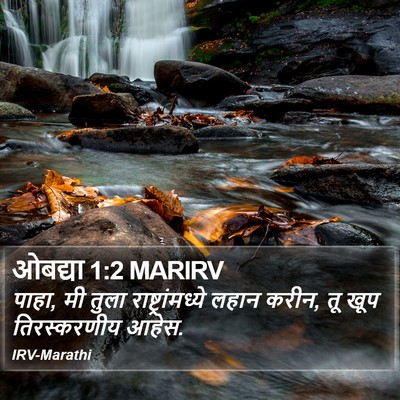 ओबद्या 1:2 MARIRV Bible Verse Image