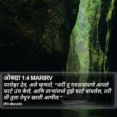 ओबद्या 1:4 MARIRV Bible Verse Image