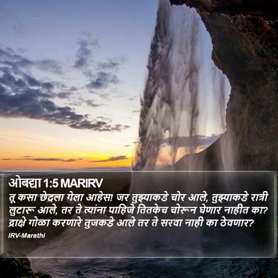 ओबद्या 1:5 MARIRV Bible Verse Image
