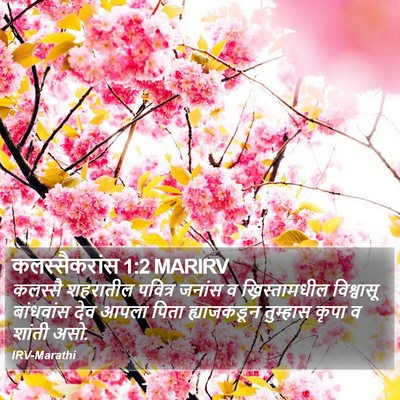 कलस्सैकरांस 1:2 MARIRV Bible Verse Image
