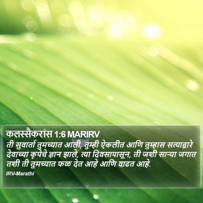 कलस्सैकरांस 1:6 MARIRV Bible Verse Image