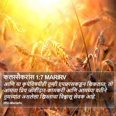 कलस्सैकरांस 1:7 MARIRV Bible Verse Image