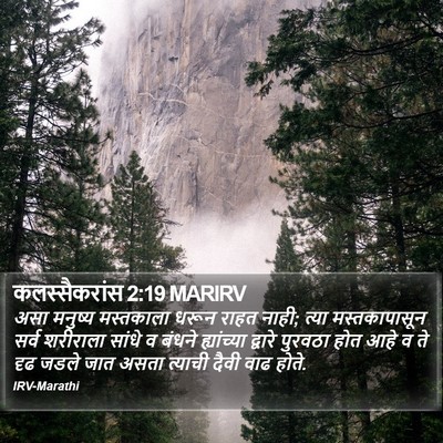 कलस्सैकरांस 2:19 MARIRV Bible Verse Image