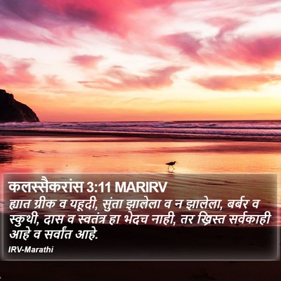 कलस्सैकरांस 3:11 MARIRV Bible Verse Image