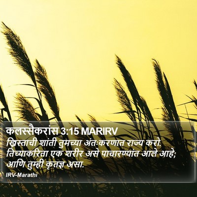 कलस्सैकरांस 3:15 MARIRV Bible Verse Image
