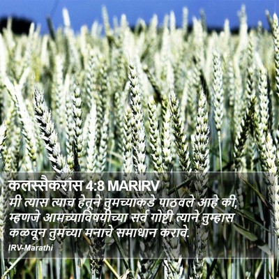 कलस्सैकरांस 4:8 MARIRV Bible Verse Image