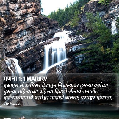 गणना 1:1 MARIRV Bible Verse Image