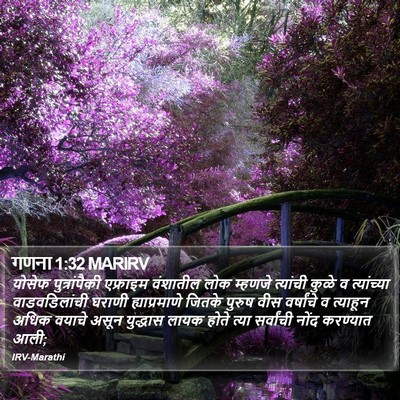 गणना 1:32 MARIRV Bible Verse Image