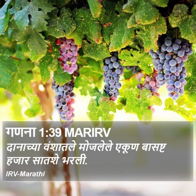 गणना 1:39 MARIRV Bible Verse Image
