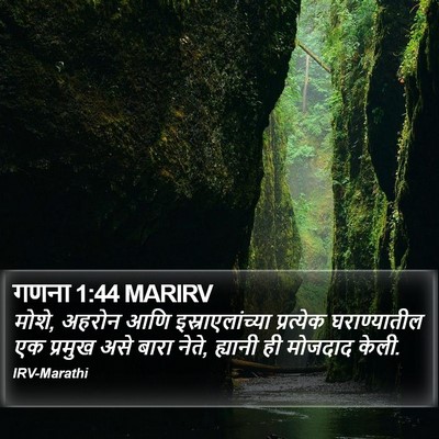 गणना 1:44 MARIRV Bible Verse Image