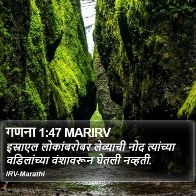 गणना 1:47 MARIRV Bible Verse Image