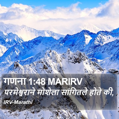 गणना 1:48 MARIRV Bible Verse Image