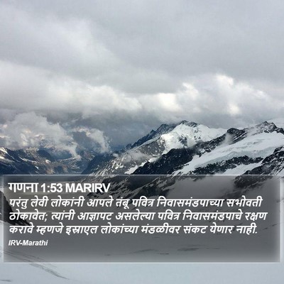 गणना 1:53 MARIRV Bible Verse Image