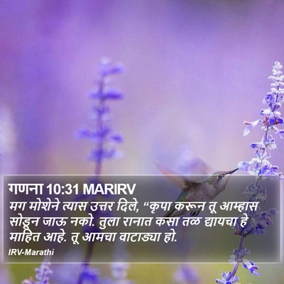 गणना 10:31 MARIRV Bible Verse Image