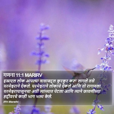 गणना 11:1 MARIRV Bible Verse Image