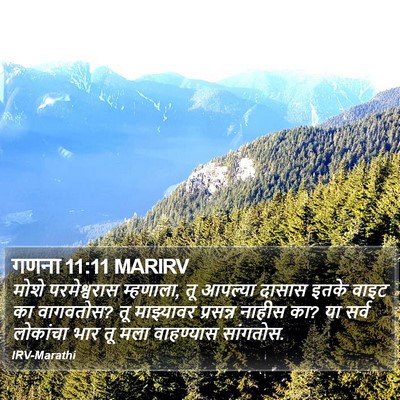 गणना 11:11 MARIRV Bible Verse Image