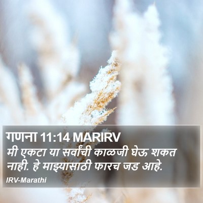 गणना 11:14 MARIRV Bible Verse Image
