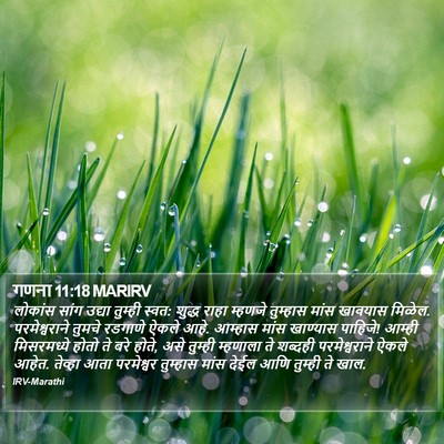 गणना 11:18 MARIRV Bible Verse Image