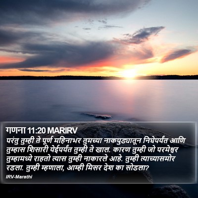 गणना 11:20 MARIRV Bible Verse Image