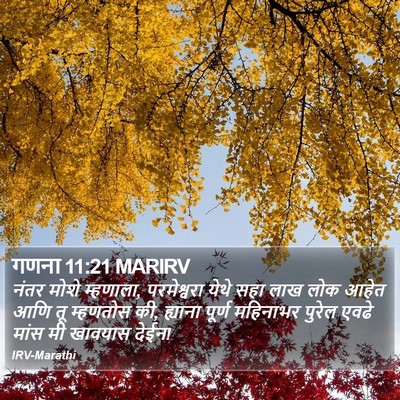 गणना 11:21 MARIRV Bible Verse Image