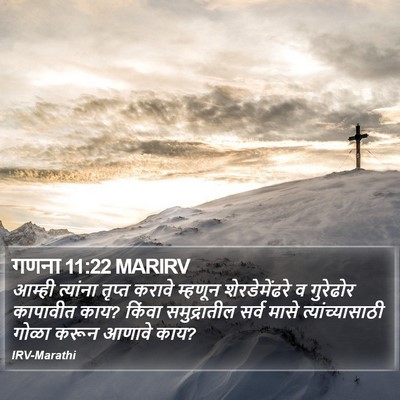 गणना 11:22 MARIRV Bible Verse Image