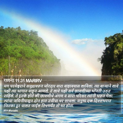 गणना 11:31 MARIRV Bible Verse Image