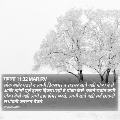 गणना 11:32 MARIRV Bible Verse Image