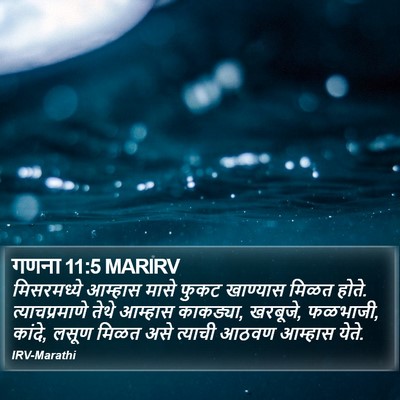गणना 11:5 MARIRV Bible Verse Image