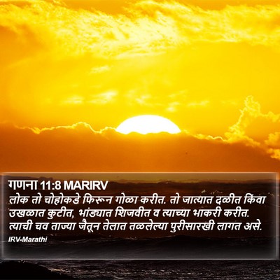गणना 11:8 MARIRV Bible Verse Image