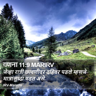 गणना 11:9 MARIRV Bible Verse Image