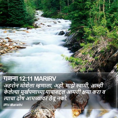 गणना 12:11 MARIRV Bible Verse Image