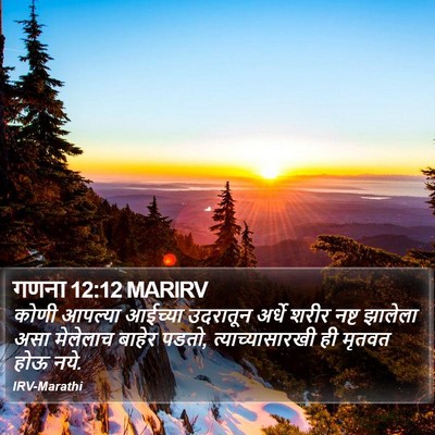 गणना 12:12 MARIRV Bible Verse Image