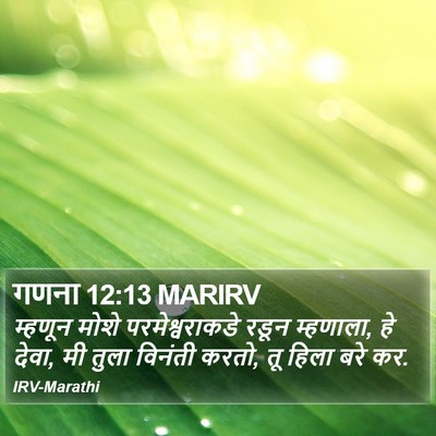 गणना 12:13 MARIRV Bible Verse Image