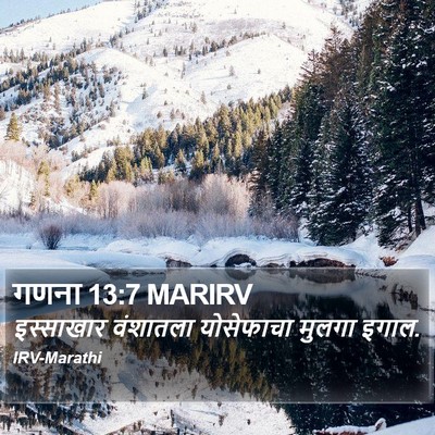 गणना 13:7 MARIRV Bible Verse Image
