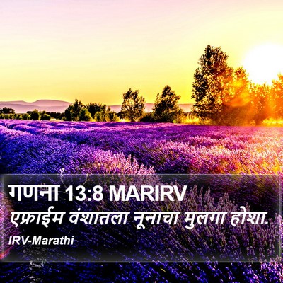 गणना 13:8 MARIRV Bible Verse Image