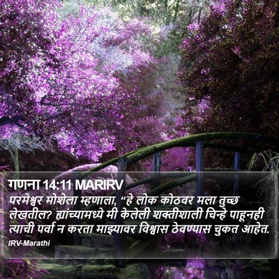 गणना 14:11 MARIRV Bible Verse Image