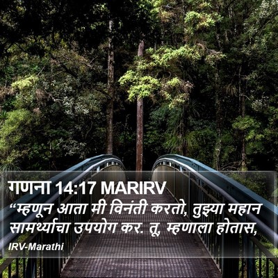 गणना 14:17 MARIRV Bible Verse Image