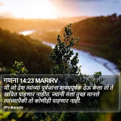 गणना 14:23 MARIRV Bible Verse Image